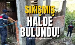 Zonguldak'ta Sıkışmış Halde Bulundu!