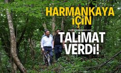 Zonguldak Valisi Osman Hacıbektaşoğlu, Harmankaya Şelaleleri için talimat verdi!