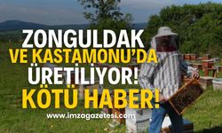 Zonguldak ve Kastamonu’da üretilen kestane balı hakkında kötü haber!