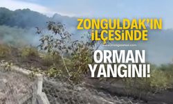 Zonguldak'ın Alaplı ilçesinde orman yangını! Ekipler müdahale ediyor