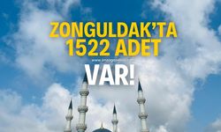 Zonguldak'ta 1522 adet var!