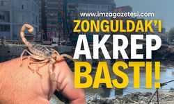 Zonguldak'ta Acılık Deresi'nde neler oluyor: Akrep Bastı!