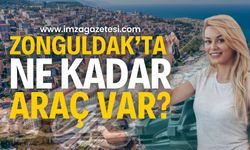 Zonguldak'ta büyük artış: Zonguldak'ta ne kadar araç var?