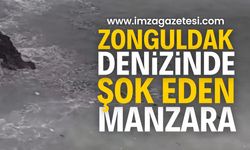 Zonguldak’ta Şok Eden Manzara: Bu ne rezillik?