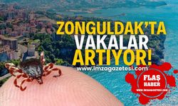 Zonguldak'ta vakalar artıyor! Dikkat!