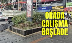 Yeşillik alanda çalışma başladı!