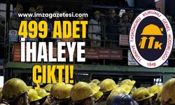 499 adet ihaleye çıktı!