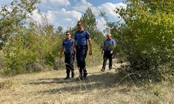 Polis ekipleri ormanlarda kuş uçurtmuyor!