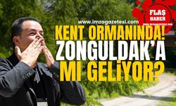 Acun Medya Kent Ormanında! Acun Ilıcalı, Zonguldak'a gelecek mi?