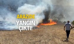 Arazide korkutan yangın!