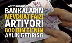 Bankaların Mevduat Faizleri Artıyor: 800 Bin liranın aylık getirisi?