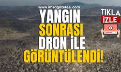 Bolu ormanlarının yangından sonraki hali içler acısı! Havadan görüntülenen ormanın son hali...