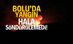 Bolu'da çıkan orman yangını hala söndürülemedi!