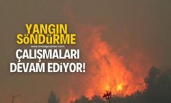 Bolu'da orman yangınını söndürme çalışmaları devam ediyor!