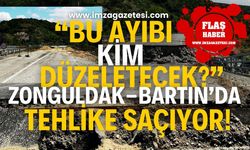 "Bu ayıbı kim düzeltecek?" Zonguldak-Bartın yolundaki köprü tehlike saçıyor!