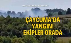 Çaycuma’da yangın! Ekipler sevk edildi