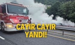 Cayır cayır yanıyor! Ekipler sevk edildi