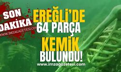 Ereğli'de Atmış Dört Parça Kemik Bulundu!