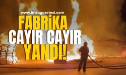 Fabrikada yangın! Cayır cayır yandı!