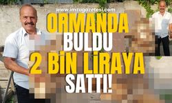 Görülmemiş şey! Ormanda buldu, iki bin liraya sattı!