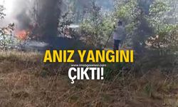 Anız yangını büyümeden söndürüldü!