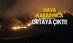 Karabük'te orman yangınının etkili olduğu alan hava kararınca ortaya çıktı!