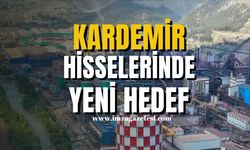 Kardemir Hisselerinde Yeni Hedef!