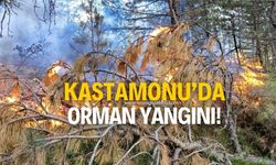 Kastamonu'da orman yangını!