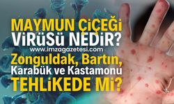 Mamyun Çiçeği virüsü nedir? Ölümcül müdür? Zonguldak, Bartın, Karabük ve Kastamonu tehlikede mi?