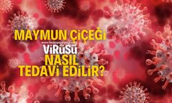 Maymun Çiçeği virüsü nasıl tedavi edilir? Belirtileri neler? Evcil hayvanlar risk altında mı?