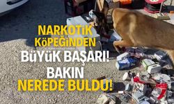 Narkotik köpeği bakın uyuşturucuyu nerede ve nasıl buldu! Büyük başarı...