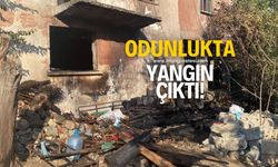 Odunlukta yangın çıktı!