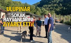 Özcan Ulupınar, sokak hayvanları bakım evini ziyaret etti!