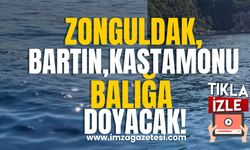 Palamutlar ve kefaller hareketlendi! Zonguldak, Bartın, Kastamonu'da balık sezonu bereketli mi geçecek?