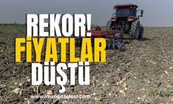 Rekor! Fiyatlar düşük, depolama başladı!