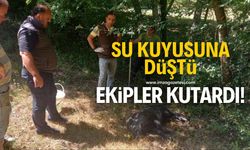 Su kuyusuna düştü ekipler tarafından kurtarıldı!