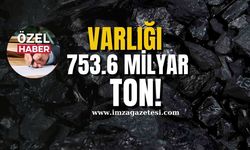 Dünyadaki varlığı 753.6 milyar ton!