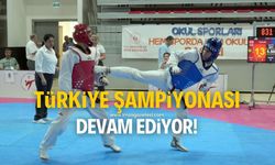 Türkiye Taekwondo Şampiyonası, Kastamonu'da devam ediyor!