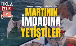 Yelken Kulübü Yöneticileri Martının İmdadına Yetişti...