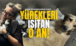 Yürekleri ısıtan o an! Bir insan ezdi, bir insan sevdi...