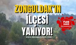 Zonguldak'ın ilçesinde büyük orman yangını! Kontrol Altına Alınamıyor, Takviye Ekipler Acil Aranıyor!