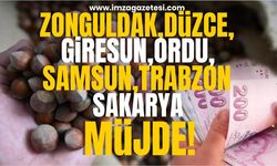 Zonguldak, Düzce, Giresun, Ordu, Samsun, Trabzon, Sakarya'daki fındık üreticisine müjde!