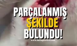 Çenesi parçalanmış şekilde bulundu!