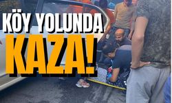 Zonguldak'ın ilçesinde köy yolunda kaza! Çok sayıda yaralı...