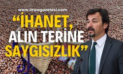 Ertuğrul "Fındık Fiyatlarına İhanet: Çiftçinin Alın Terine Saygısızlık"