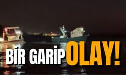 Zonguldak'ın en gözde beldesinde bir garip olay! Vatandaş korktu, ekipler harekete geçti...