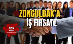 Zonguldak'ta İş Fırsatı!