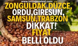 Zonguldak, Düzce, Kastamonu, Samsun, Ordu, Giresun, Trabzon dikkat! Fındık Alım Fiyatları Belirlendi!