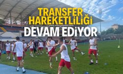 Zonguldak Kömürspor transferleri kampa yetiştirmeye çalışıyor!