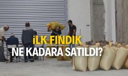 Zonguldak'ın Alaplı ilçesinde ilk fındık satıldı!